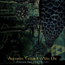 Antonio Testa | Alio Die - Prayer For The Forest